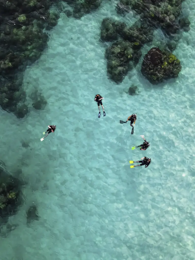 Sebastian Pena Lambarri - unsplash